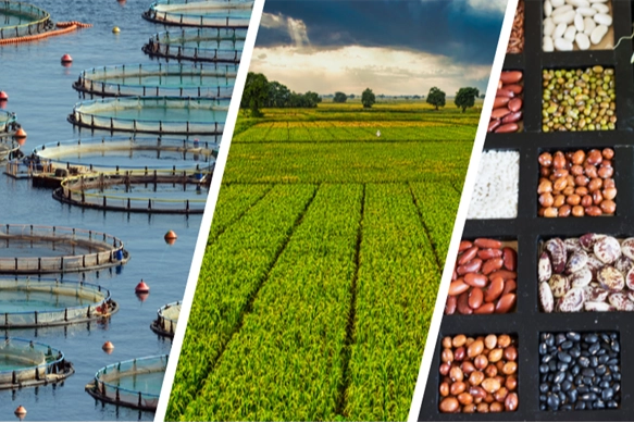 255 milyon lira &ccedil;ift&ccedil;ilerin hesabında