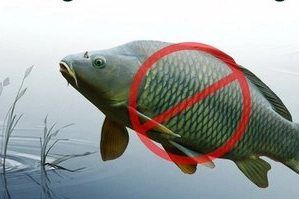 Adana&rsquo;da sazangillerin avcılığına 31 Mayıs'a yasak!