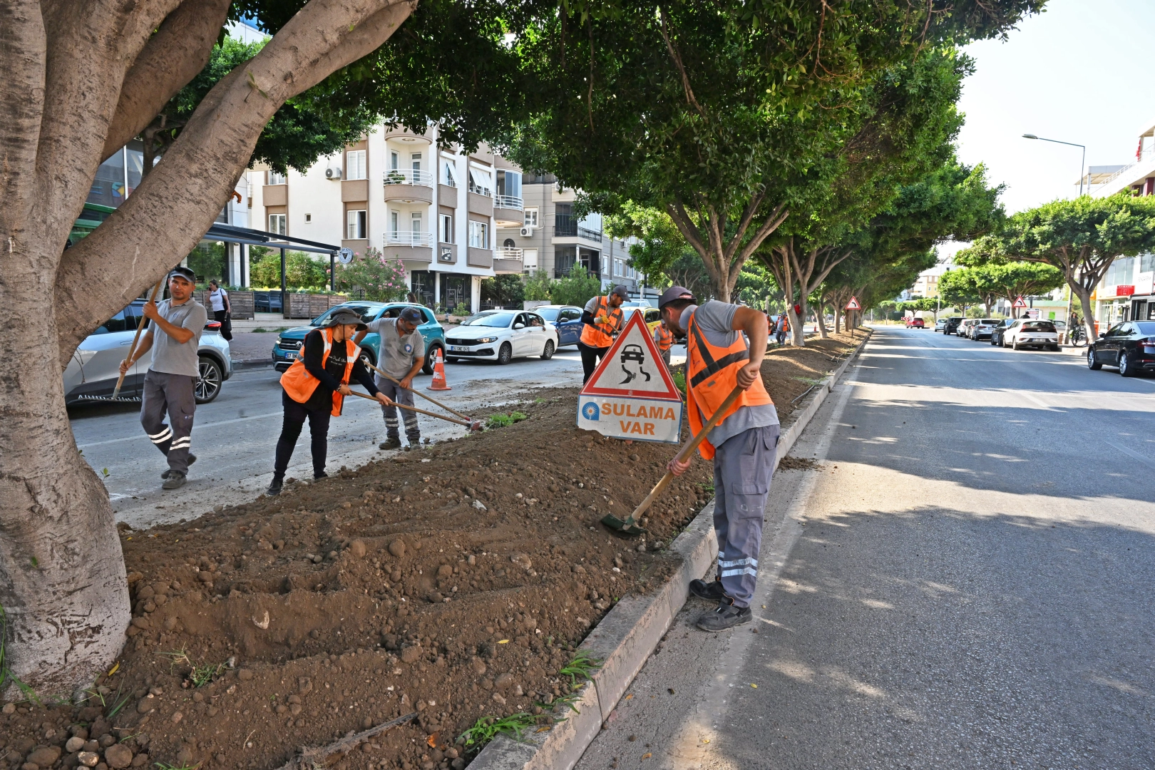 Antalya'da kurak&ccedil;ıl peyzajla yeşil dokunuş