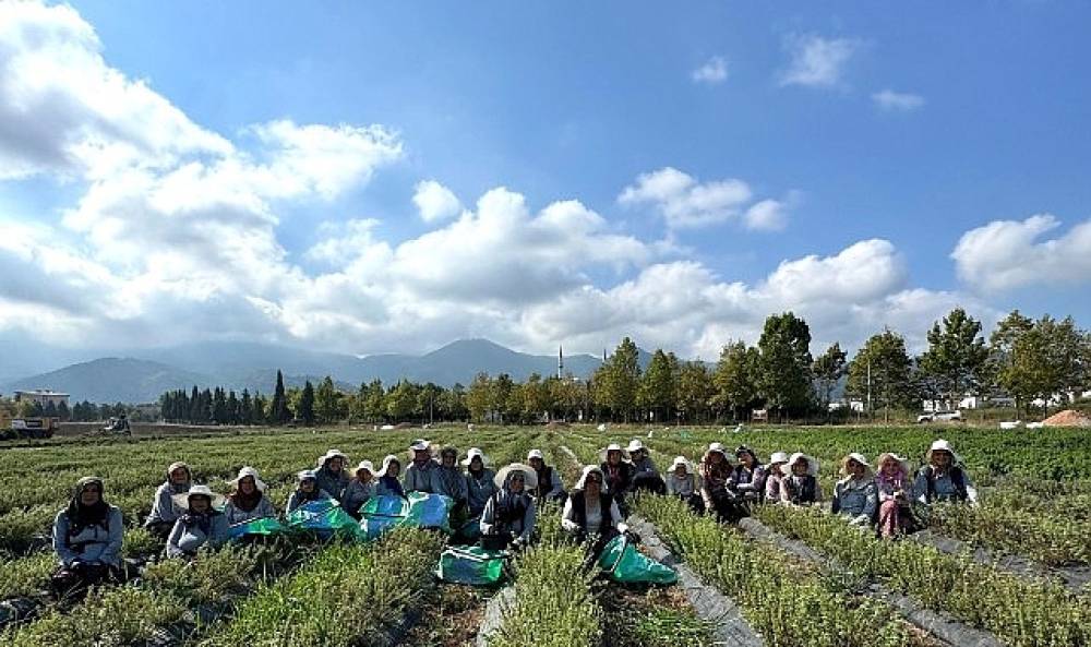 TABİP'te &uuml;retimden markalaşmaya uzanan hasat