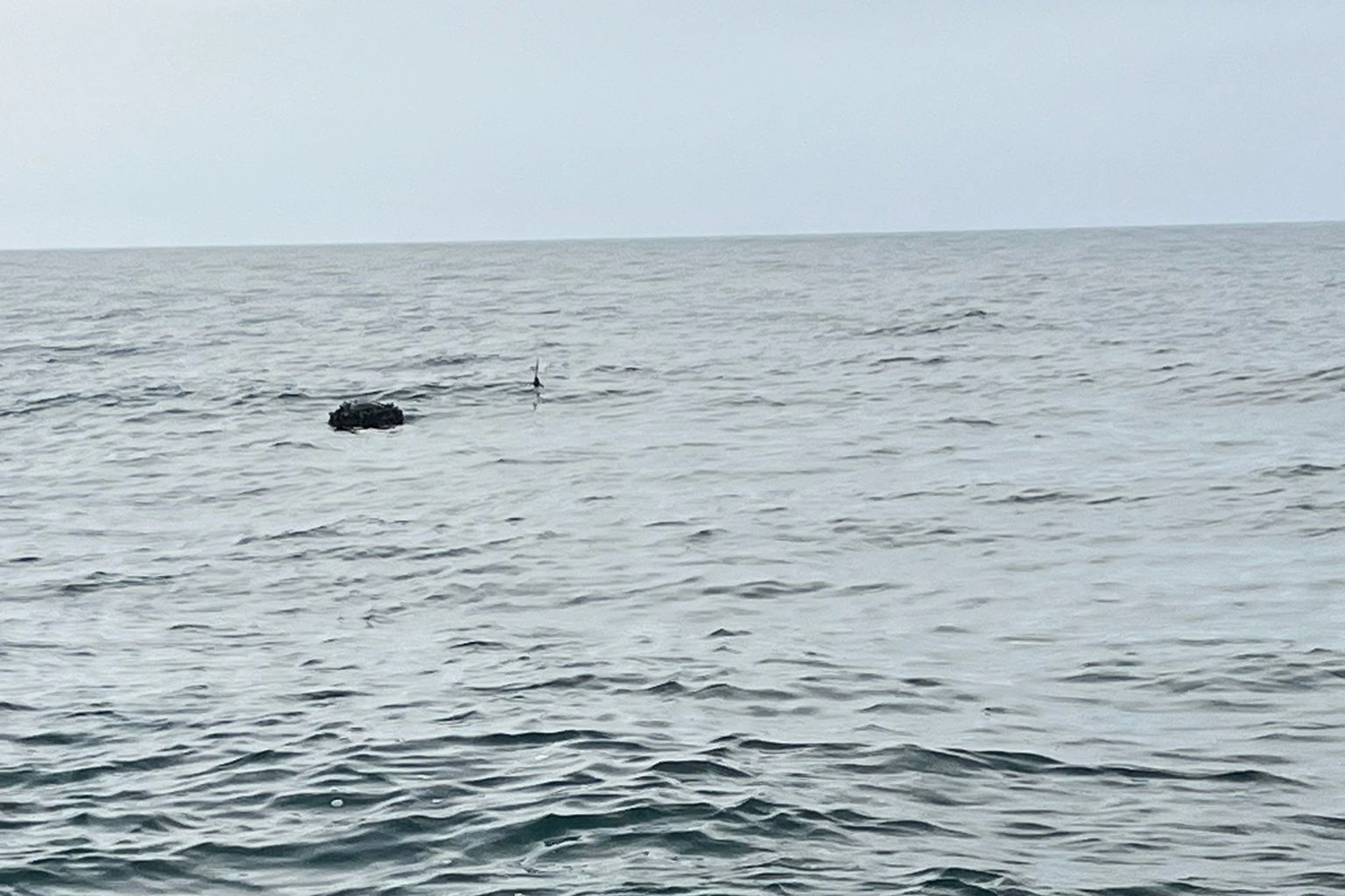 Karadeniz&rsquo;deki ş&uuml;pheli mayın SAS timlerince imha edildi!