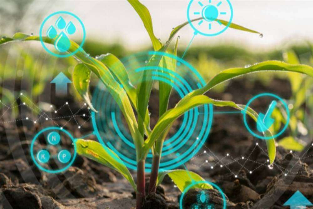 Tarımda derecelendirme d&ouml;nemi başladı