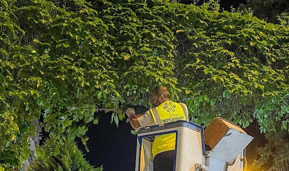 Başkan &Ccedil;er&ccedil;ioğlu: Aydınımız İ&ccedil;in Gece G&uuml;nd&uuml;z &Ccedil;alışmaya Devam Ediyoruz
