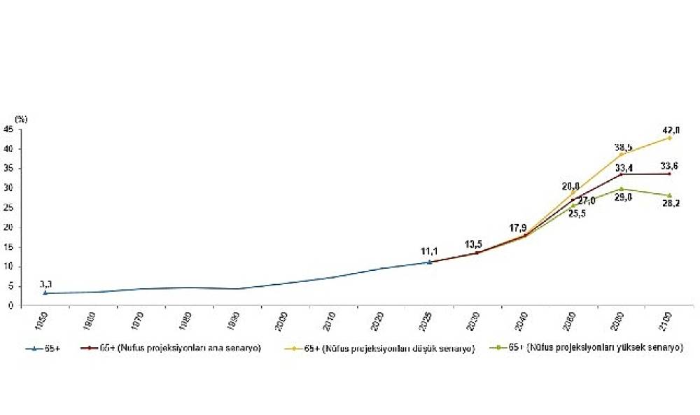  İstatistiklerle Yaşlılar, 2025