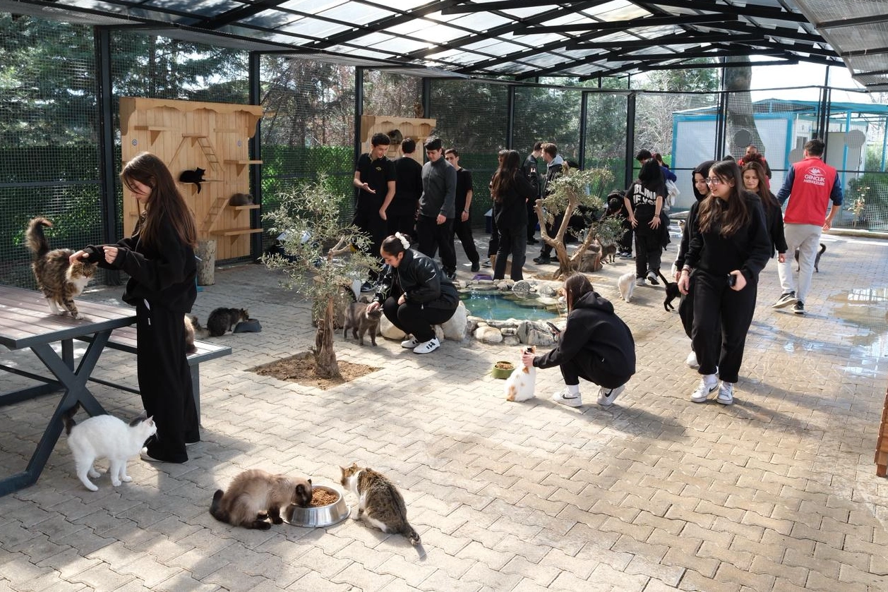 Bursa Yıldırım&rsquo;da gen&ccedil;lerden patili dostlara sevgi ziyareti