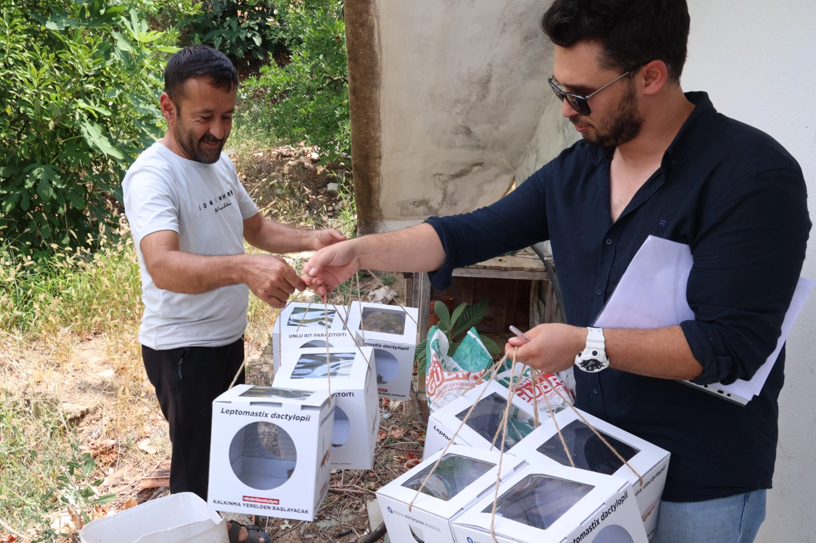 Antalya'da 800 dekar araziye faydalı b&ouml;cek desteği