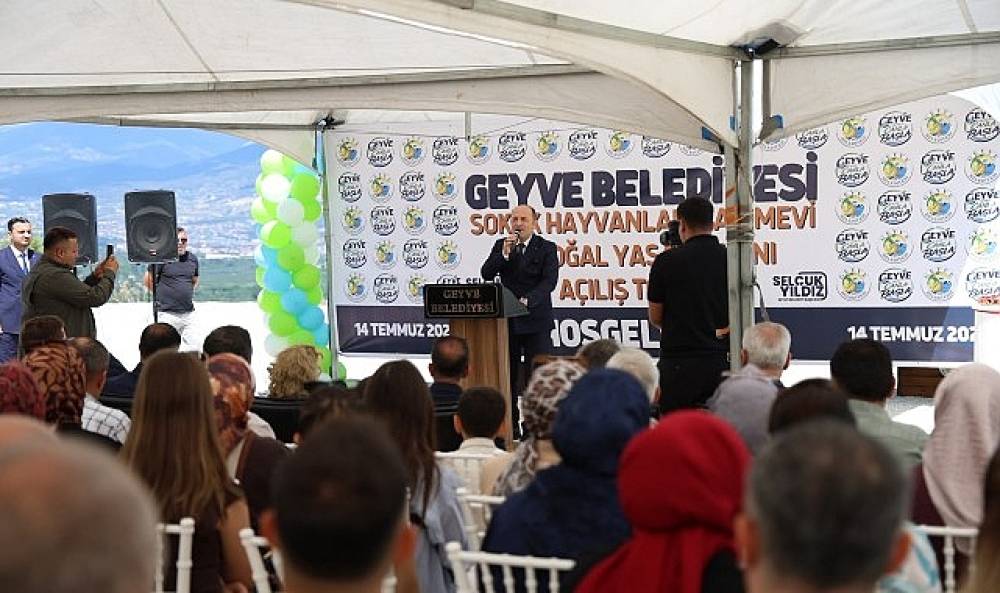 Geyve'de Sokak Hayvanları İ&ccedil;in de Yeni D&ouml;nem Başladı