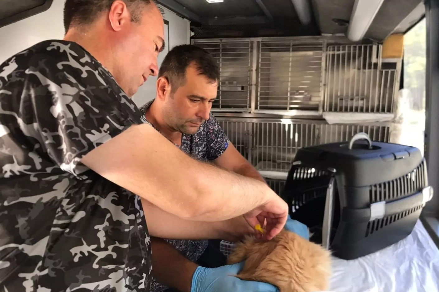 Balıkesir'de can dost aracı Savaştepe&rsquo;den yola &ccedil;ıkıyor