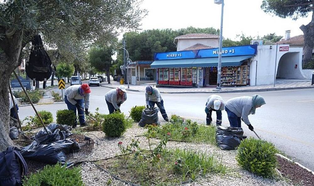 Burhaniye'de Park ve Yeşil Alanlarda Bakım &Ccedil;alışmaları S&uuml;r&uuml;yor