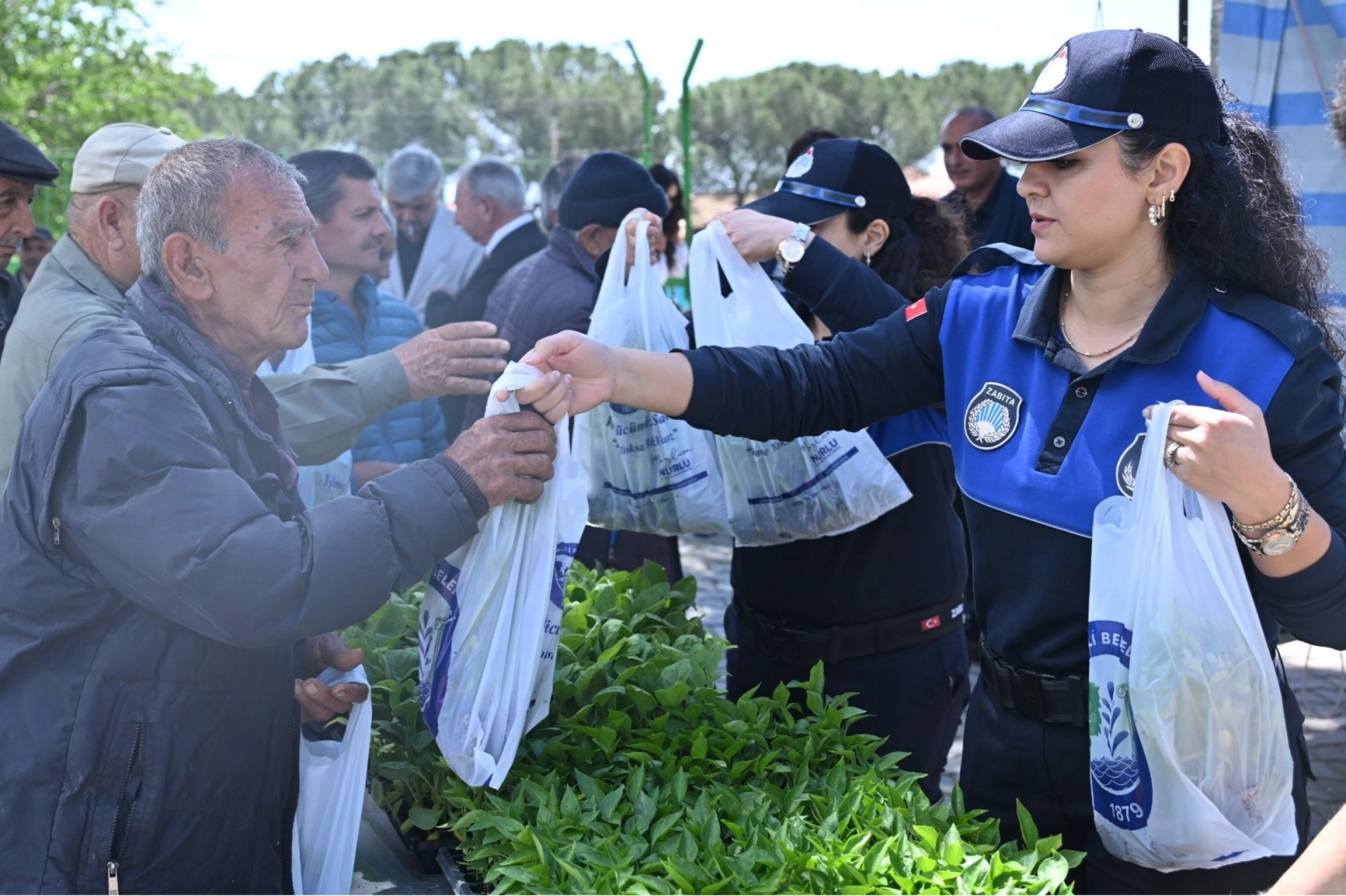 Manisa&rsquo;da &uuml;reticilere 34 bin sebze fidesi dağıtıldı