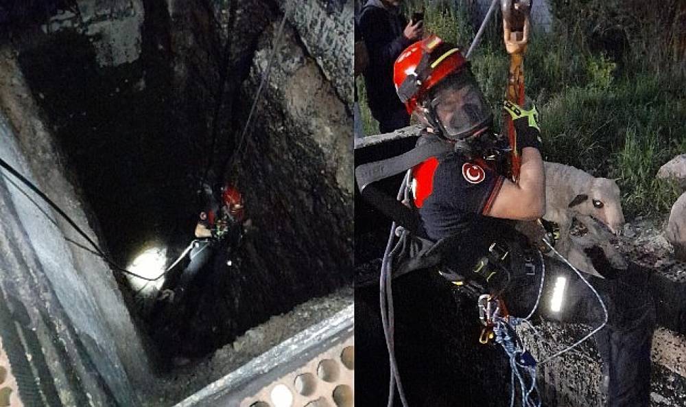 Kuyuya d&uuml;şen kuzuya itfaiyeden nefes kesen kurtarma