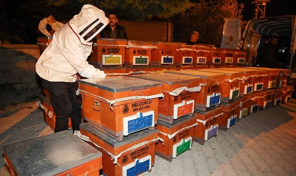 Sel&ccedil;uklu Belediyesi Arılı Kovan Desteği Projesi'ni 4. Kez D&uuml;zenledi