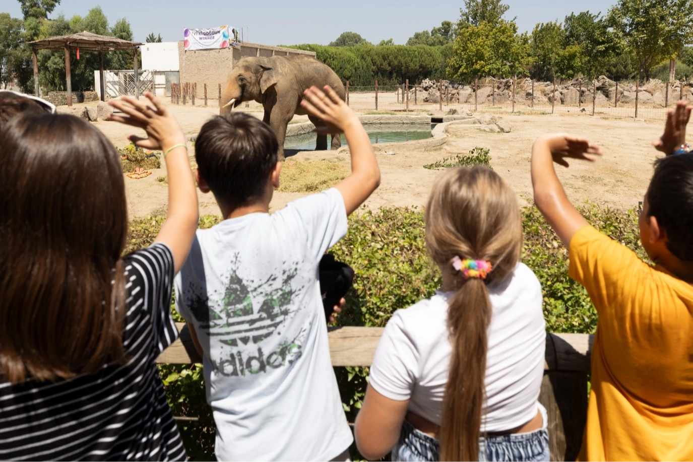 İzmir'de 'Doğal Yaşam'a girişler 27 Nisan'a kadar &uuml;cretsiz