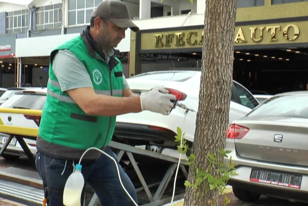 Kayseri Kocasinan'da ağa&ccedil;lara sıkı koruma