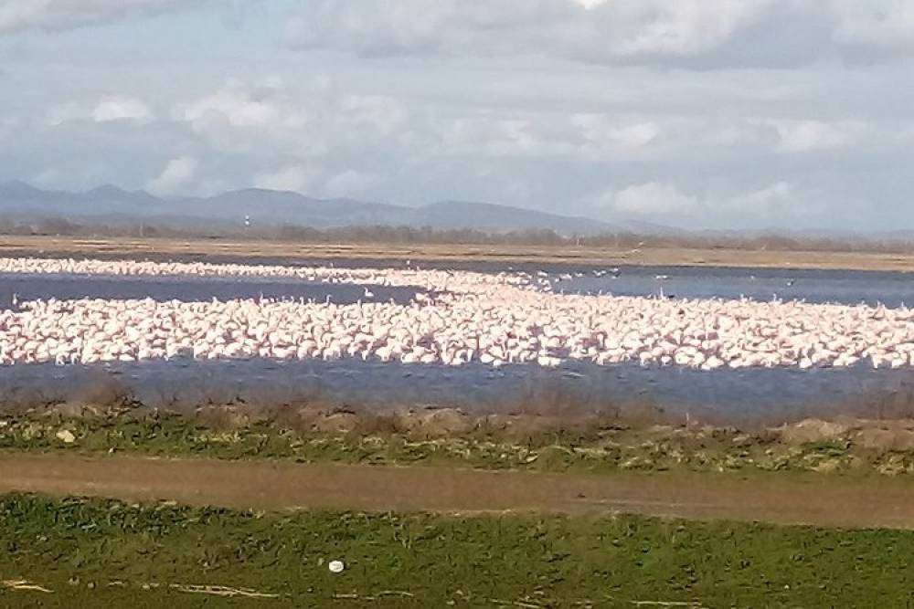 İpsala'da g&ouml;rsel ş&ouml;len