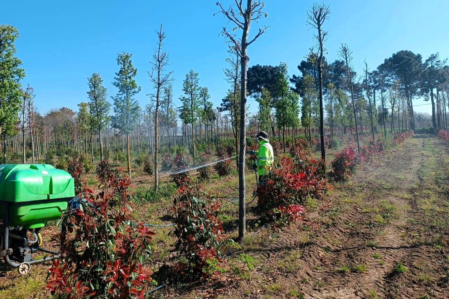 Kocaeli'de fidanlara koruyucu m&uuml;dahale