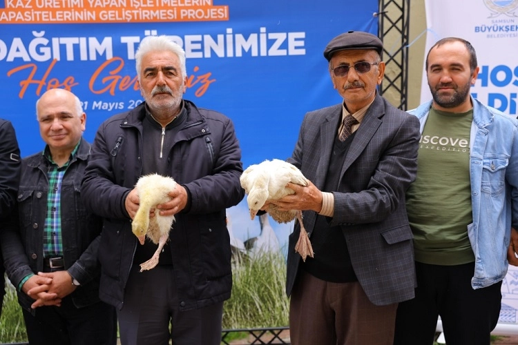 Samsun B&uuml;y&uuml;kşehir'den &uuml;reticiye kaz desteği