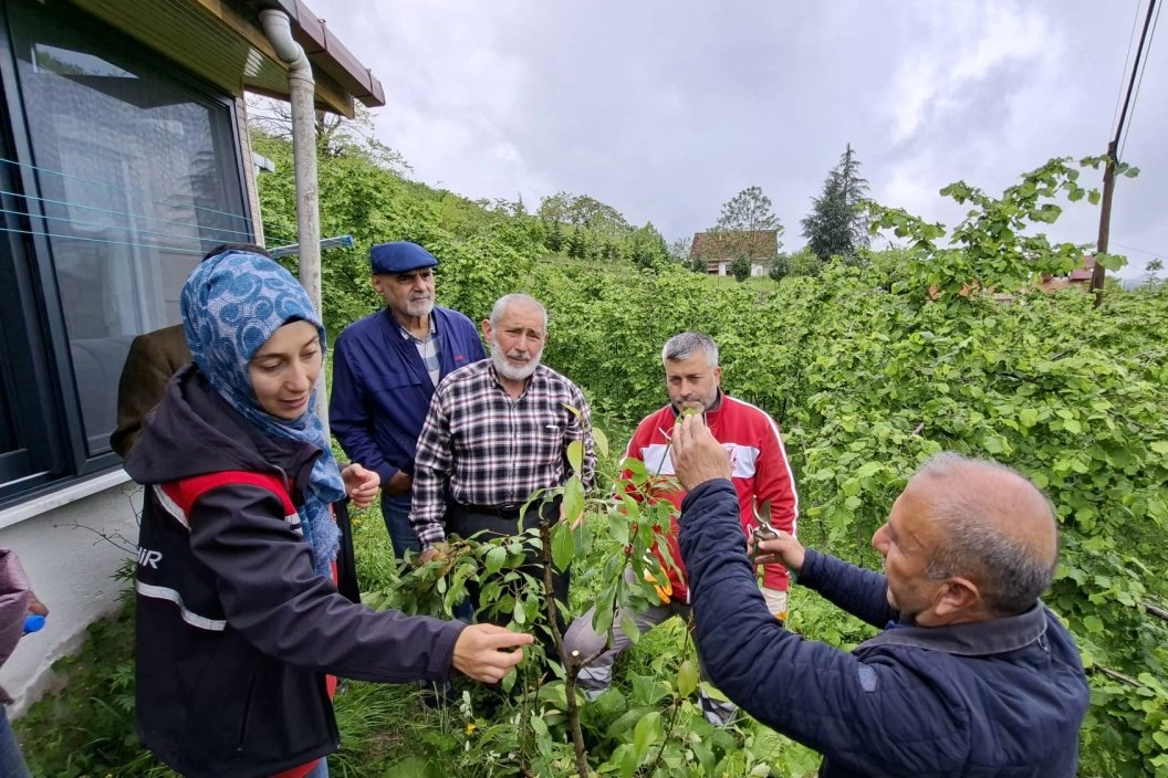 B&uuml;y&uuml;kşehirin aşı 'Ordu'su b&uuml;y&uuml;yor