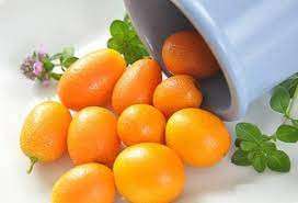 T&uuml;rkiye'den yılın ilk yarısında 452,8 milyon dolarlık turun&ccedil;gil ihra&ccedil; edildi